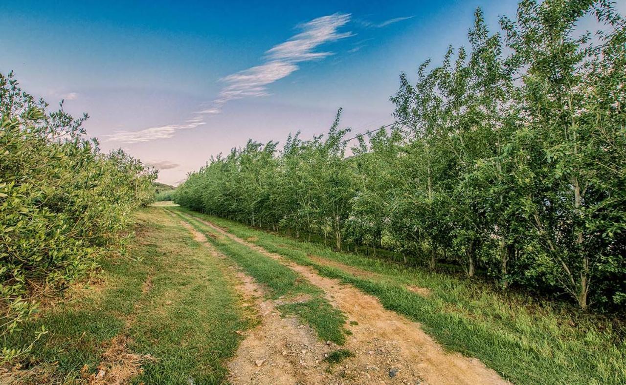 Oudewerfskloof Olive Farm Vila Stilbaai Exterior foto