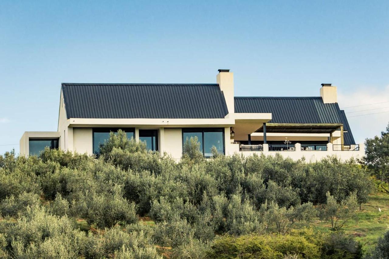 Oudewerfskloof Olive Farm Vila Stilbaai Exterior foto